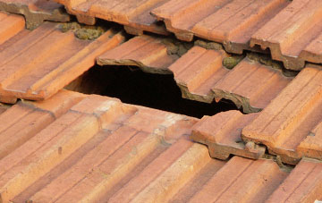 roof repair Broadmore Green, Worcestershire
